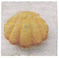 03_rs_02